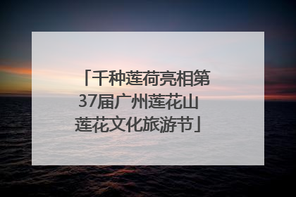 千种莲荷亮相第37届广州莲花山莲花文化旅游节